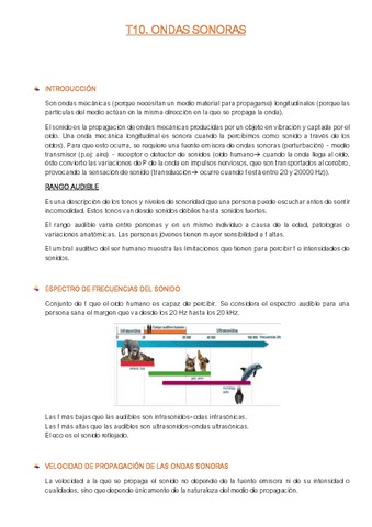 Resumen-T1.10-FFE-I.R.pdf