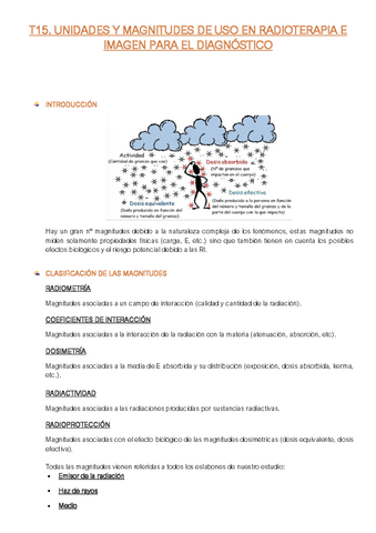 Resumen-T1.15-FFE-I.R.pdf
