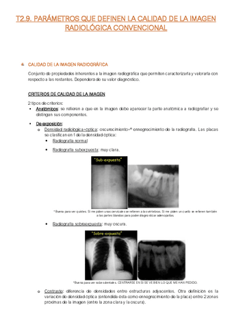 Resumen-T2.9-FFE-I.R.pdf