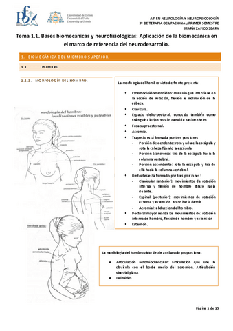 Tema-1.1.-Aplicacion-de-la-biomecanica-en-el-marco-de-referencia-del-neurodesarrollo.pdf