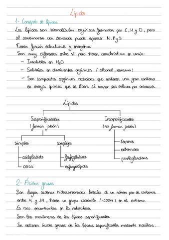 Lipidos.pdf