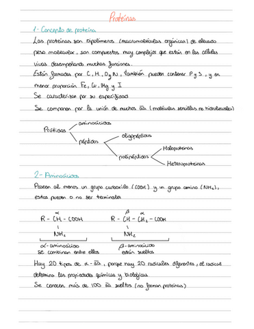 Proteinas.pdf