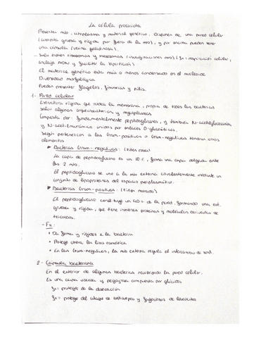 Celula-Procariota.pdf