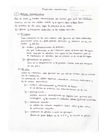 Organulos-Membranosos.pdf