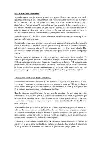 Practicas-2.pdf