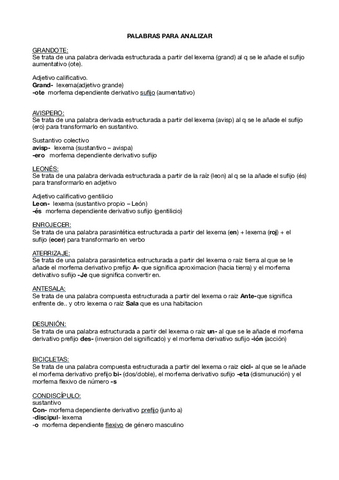 Palabras-analizadas.pdf