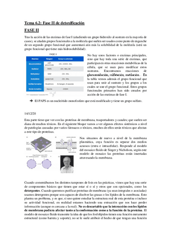 Tema-6.2.pdf