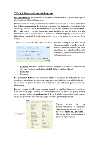 Tema-6.pdf