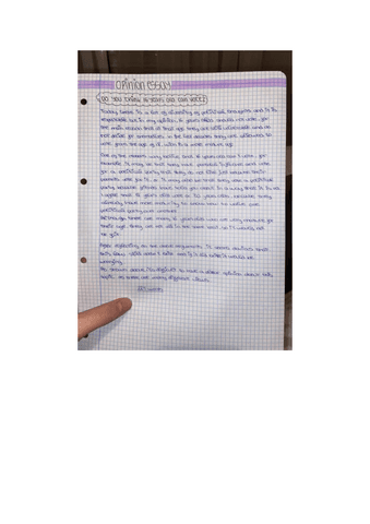 Opinion-essay.pdf
