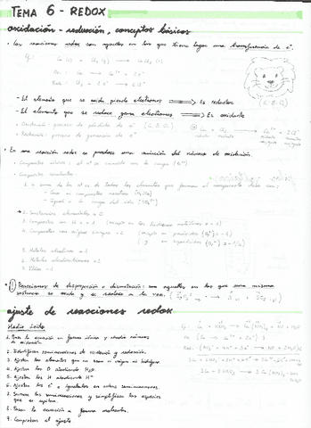 QUIMICA-Apuntes-Tema-10.pdf