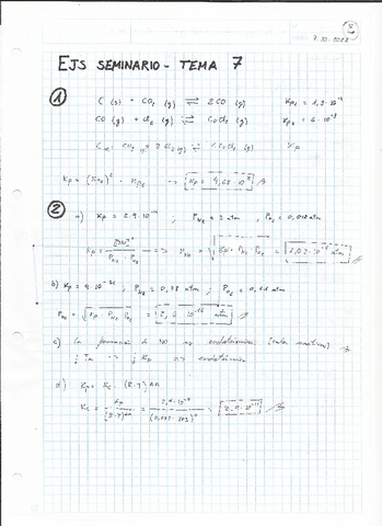 QUIMICA-Ejs-Seminario-Tema-7.pdf