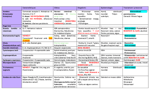MM-Taula-tema-34.pdf