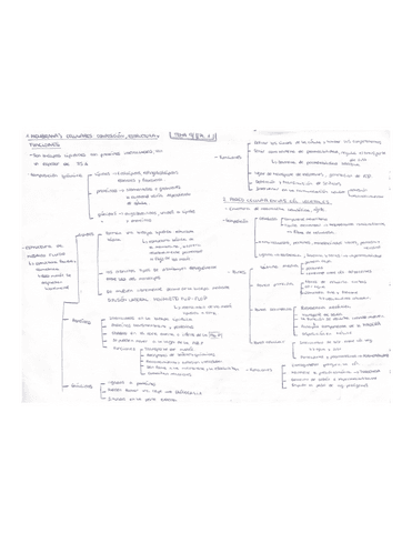 esquema-t.9-parte-1.pdf