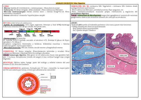 RESUMENES-HISTO-sin-subrayar-entero.pdf