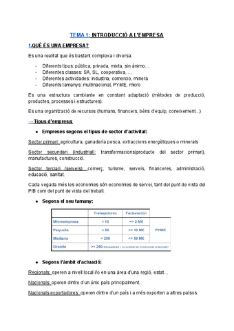 TEMA-1-INTRODUCCIO-A-LEMPRESA.pdf