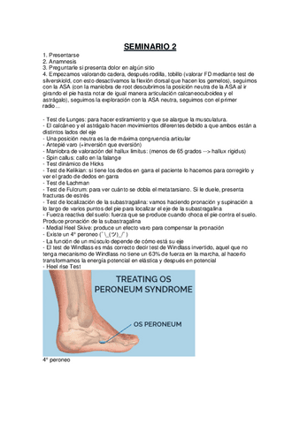 Seminarios-cirugia.pdf