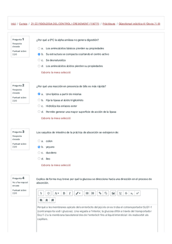 Questionari-practica-4-Grups-7-i-8.pdf