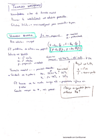 variable-binaria-y-p-valor.pdf