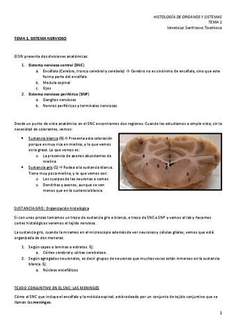 HOS-1.-Sistema-nervioso.pdf