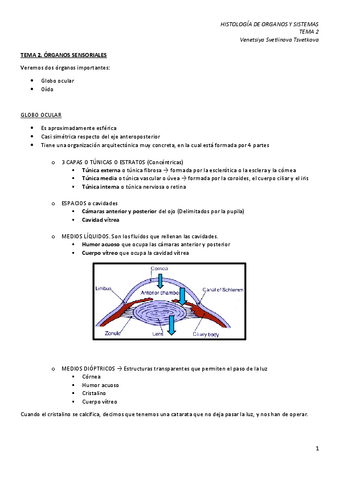 HOS-2.-Organos-sensoriales.pdf