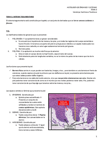 HOS-3.-Sistema-tegumentario.pdf