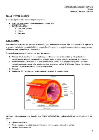 HOS-4.-Aparato-digestivo.pdf