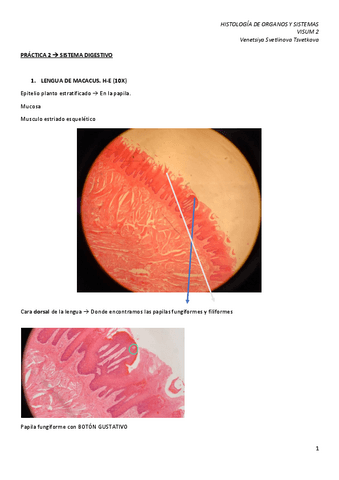 VISUM-2.pdf