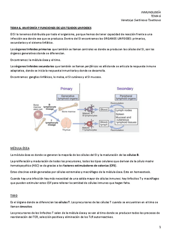 IM-6.-Anatomia-y-funciones-de-los-tejidos-linfoides.pdf