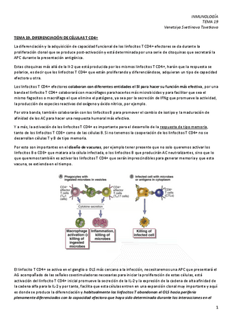 IM-19.-Desarrollo-de-linfocitos-T-CD4.pdf