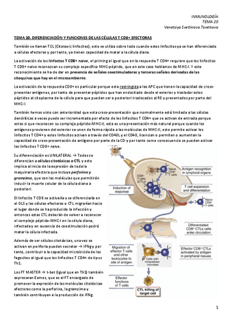 IM-20.-Desarrollo-de-linfocitos-T-CD8.pdf