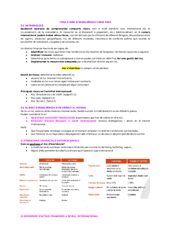 TEMA-5-RISC-DINSOLVENCIA-I-RISC-PAIS-3.pdf