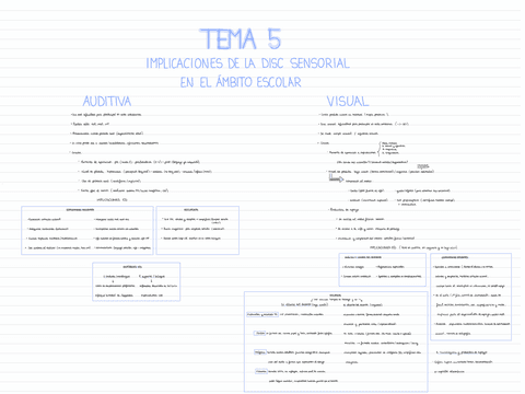 AT-DIVERSIDAD-T5.pdf