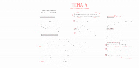 T4-LENGUA-Y-LIT-DIDACTICA.pdf