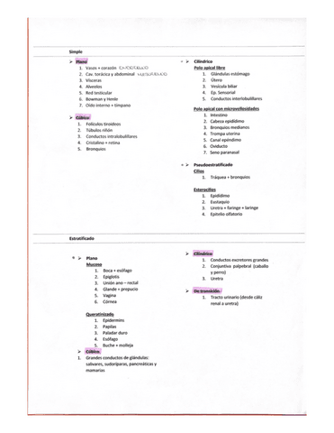 Resumen-tipos-de-tejidos-ejemplos.pdf