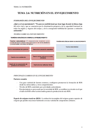 TEMA-2.6-pdf.pdf