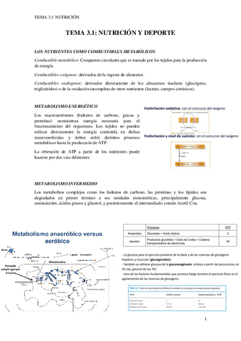TEMA-3.1-pdf.pdf