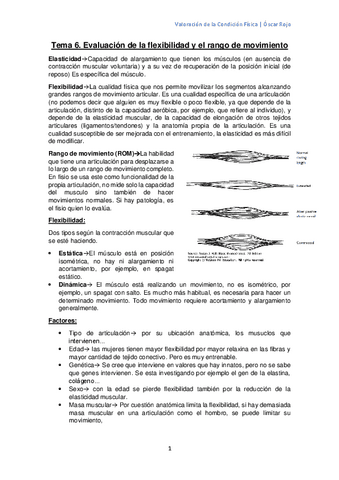 Tema-6-2.pdf