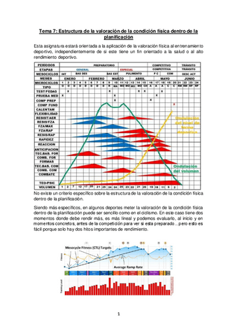 Tema-7.-valo.pdf