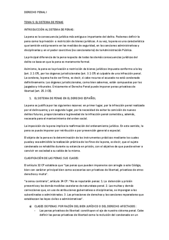 TEMA-5-DERECHO-PENAL-I.pdf