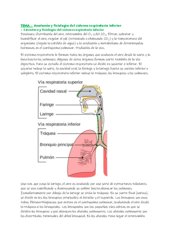 Anatomia-y-Fiosiologia-de-los-Organos-del-Habla-y-AudicionTemario-COMPLETO.pdf