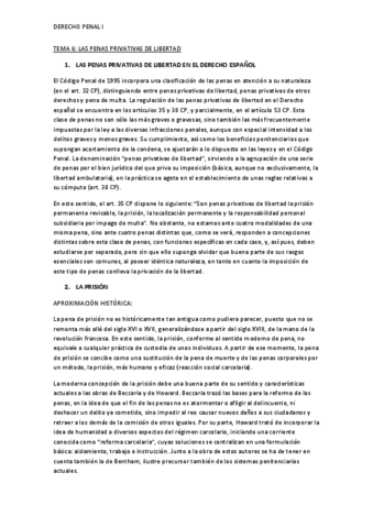 TEMA-6-DEFINITIVO-DERECHO-PENAL-I.pdf