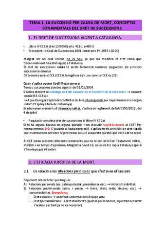 Dret de successions (1-25).pdf