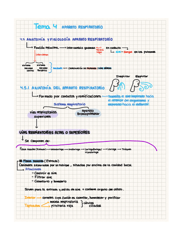 Aparato-respiratorio-T4.pdf