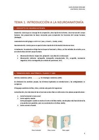 TEMA-1.-INTRODUCCION-A-LA-NEUROANATOMIA.pdf