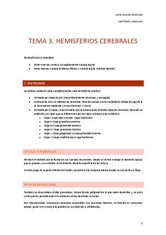 TEMA-3.-HEMISFERIOS-CEREBRALES.pdf