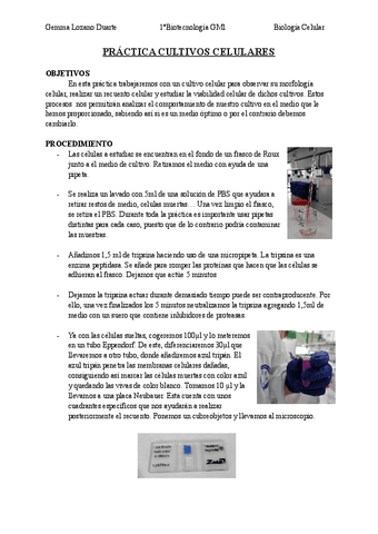 Practica-3-Cultivos-celulares.pdf