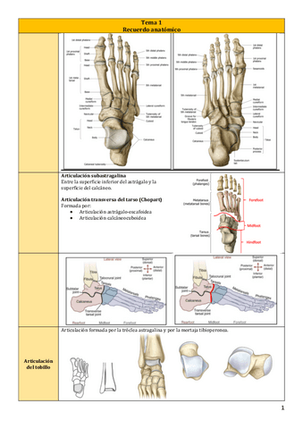 Tema-1.pdf