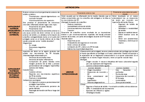 ARTROSCOPIA.pdf