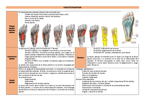 FASCITIS-PLANTAR.pdf