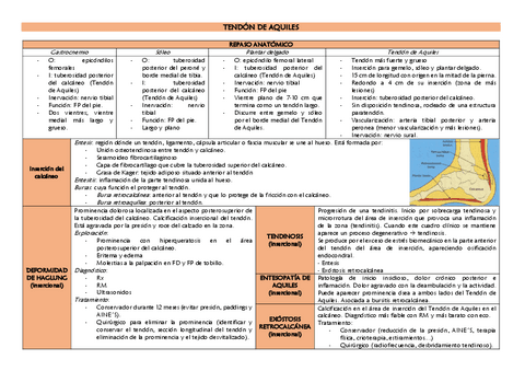 TENDON-DE-AQUILES.pdf